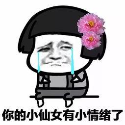 精神饱满的表情包,活力四溢的表情包盛宴